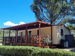 Mobile home 